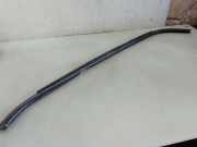 Fensterleiste Tür vorne links RENAULT TRAFIC II Furgon (FL) 1.9 dCi 100 (FL0C)