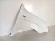 Kotflügel vorne links FIAT DOBLO Cargo (223_) 1.3 D Multijet