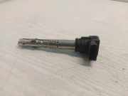 Zündspule SKODA OCTAVIAII (1Z3) 2.0 FSI