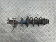 Stoßdämpfer vorne links NISSAN JUKE (F16) DIG-T 117 543031083R
