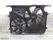 Elektrolüfter Chevrolet Captiva (C100, C140) 20913985