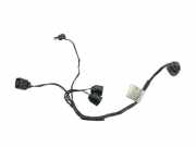 Kabelbaum BMW X5 (E70) xDrive 50 i 15701510