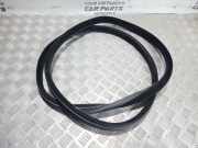 Türdichtung Jaguar XF (X250)