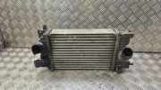 Ladeluftkühler OPEL MERIVA B 1.4 LPG 13283251