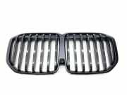 Vorderer oberer Gitter BMW X7 (G07) xDrive40d M Sport 20240049231 7313008