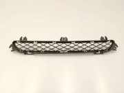 Gitter vorne unten BMW X3 (F25) xDrive 30 d 51117210466