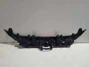 Vorderer oberer Gitter TOYOTA RAV 4 V (XA50) 2.0 (MXAA52) 531130R010