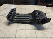 Ansaugkrümmer VW Golf IV (1J) 038129713H