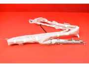 Airbag Dach links Tesla Model S (5YJS) TESLA