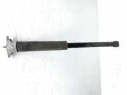 Stoßdämpfer links hinten VW Golf VII Variant (BA, BV) H1BC18080GA