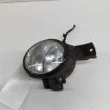 Nebelscheinwerfer rechts vorne BMW X6 (E71, E72) 7187632