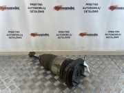 Stoßdämpfer links hinten BMW 5er Touring (G31) 814903014874