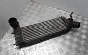 Ladeluftkühler CITROËN C8 (EA_, EB_) 2.2 HDi 1489396080