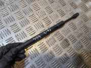 Heckklappe Gasdruckfeder rechts AUDI A6 (4F2, C6) S6 quattro 4F582755203S