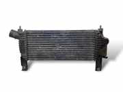 Ladeluftkühler NISSAN NP300 NAVARA (D40) 2.5 dCi 4WD 14461EB360