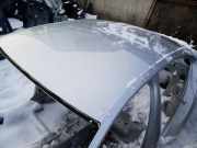 Dach mit Sonnendachausschnitt VW Passat B8 Variant (3G)