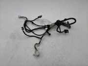 Kabel Tür vorne rechts NISSAN QASHQAI II (J11, J11_) 1.3 DIG-T DCT