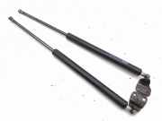 Heckklappe Gasdruckfeder links NISSAN 350 Z Coupe (Z33) 3.5 GS1022210260