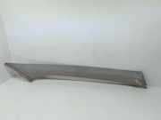 Säulenverkleidung vorne links