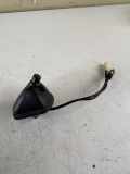 Antenne PEUGEOT 4007 (GP_) 2.2 HDi