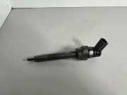 Einspritzdüse BMW 5 Touring (F11) 518 d 0445110617