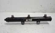 KRAFTSTOFFVERTEILER EINSPRITZLEISTE VERTEILERROHR PEUGEOT 407 Coupe (6C_) 2.7 HDi A2C20001291