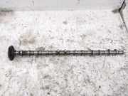 Auspuffkrümmer BMW 5er Gran Turismo (F07) 050073749