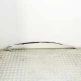 Dachleiste links TESLA MODEL X P100D AWD N/A