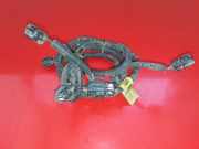 Kabelbaum Opel Antara (L07) F0801496