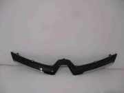 Kühlergrill komplett Renault Clio III (BR0/1, CR0/1) 620787878R