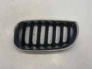Vorderer oberer Gitter BMW X3 (E83) 2.0 d 25891810