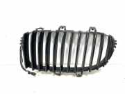 Vorderer oberer Gitter BMW 5 (F10) 520 d 51712165 611963