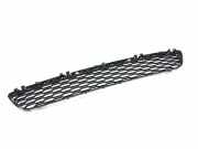 Gitter vorne unten BMW 5 (G30) M 550 i xDrive 8064930