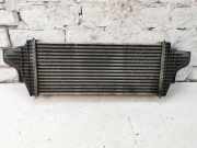 Ladeluftkühler MERCEDES-BENZ M-CLASS (W164) ML 320 CDI 4-matic (164.122) 1645001900