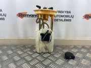 Kraftstoffpumpe VW Passat B7 (362) A2C53423480