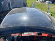 Dach mit Sonnendachausschnitt Audi TT (8S)