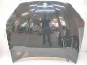 Motorhaube BMW X1 (E84) xDrive 18 d