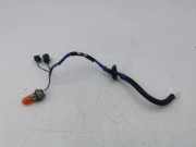 Rücklichtkontakte TOYOTA RAV 4 V (A5, H5) 2.5 Hybrid AWD (AXAP54)