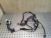 Kabel Tür Renault Kadjar (HA, HL) 241251894R