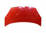 Motorhaube RENAULT KANGOO (KC0/1_) 1.2 (KC0A, KC0K, KC0F, KC01)