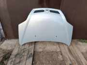 Motorhaube RENAULT SCÉNIC I (JA0/1_) 1.9 dTi (JA0N)