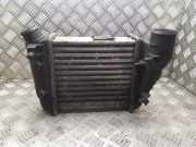 Ladeluftkühler Audi A3 (8P) 8E0145806C