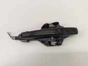 Türgriff links hinten Jaguar F-Pace (X761) DK62224A00AA