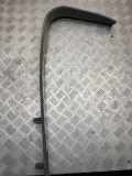 Schwellerverkleidung vorne links NISSAN NP300 NAVARA (D40) 3.0 dCi 4WD 769B54X00A