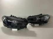 Scheinwerfersatz BMW X6(G06) (G06, F96) xDrive 40 i 5A8E101 5A8E102