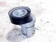 Riemenspanner VW GOLF PLUS (5M1, 521) 1.4 16V 950452