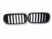 Gitter Grill vorne links BMW X5 (F15, F85) xDrive 30 d 7316075