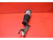 Stoßdämpfersatz Vorderachse Tesla Model S (5YJS) 103060800C