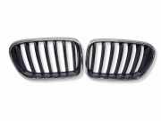 Vorderer oberer Gitter BMW X3 (F25) xDrive 20 d 51117210726