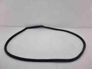 Türgummi rechts vorne BMW 4er Coupe (F32, F82) 22336711